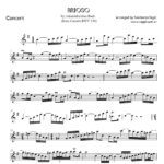Arioso - from the cantata "Ich steh mit einem Fuß im Grabe", BWV 156