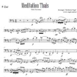 Thais Meditation (Jules Massenet) orchestral