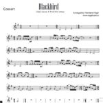 Blackbird